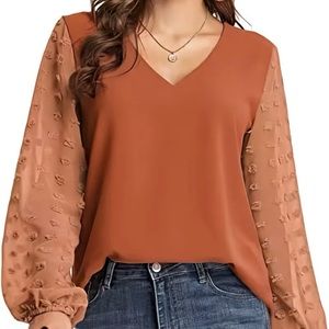 Chiffon Blouse V Neck Pom Pom Long Sleeve Swiss Dot Shirts